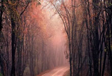 足球直播在线观看免费-国王爆冷马刺，塔图姆完成帽子戏法：NBA奇迹夜的幕后剖析