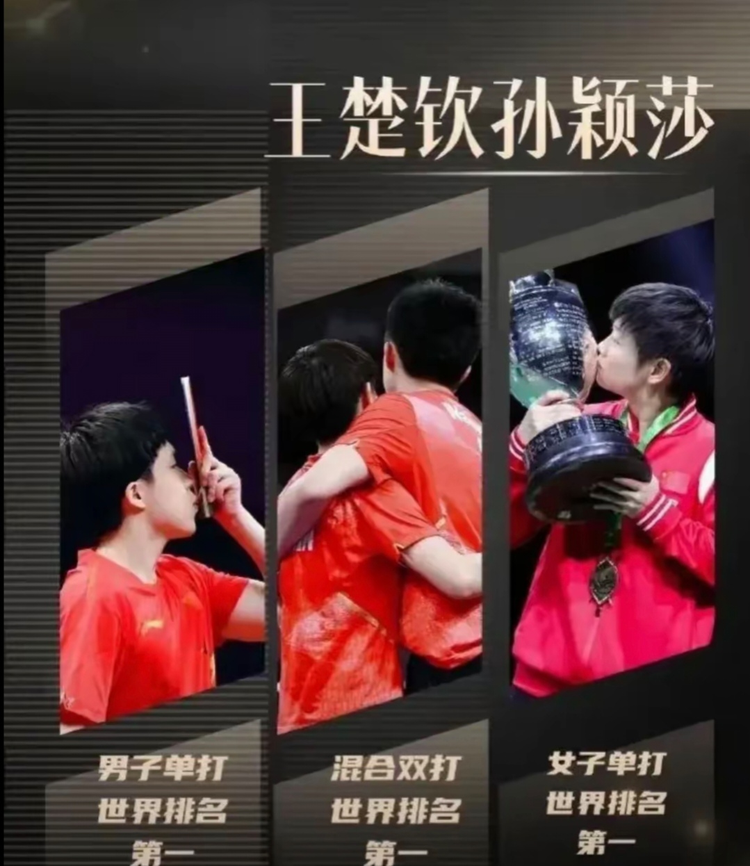 中国乒乓球队绝杀奥地利乒乓球队，张本智和制霸全场的简单介绍